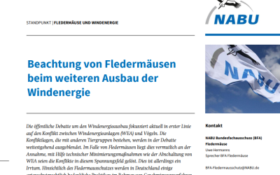 Fachpapier: Beachtung von Fledermäusen beim Ausbau der Windenergie