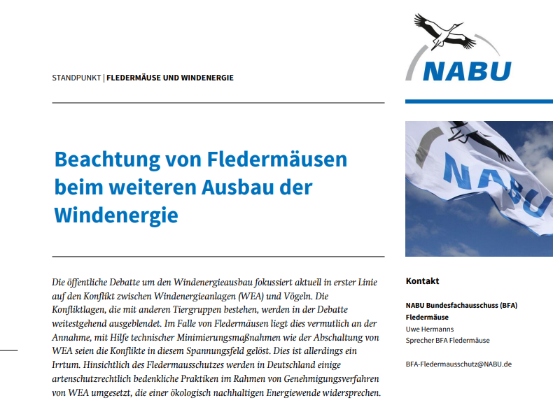 Fachpapier: Beachtung von Fledermäusen beim Ausbau der Windenergie